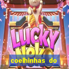 coelhinhas do brasil site